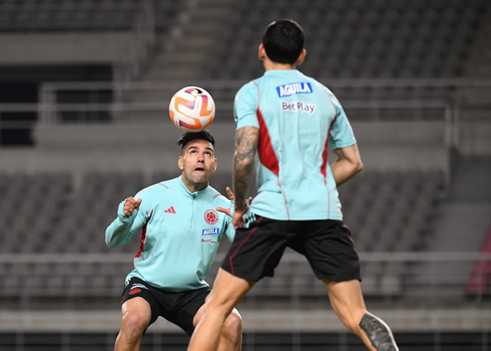 Primer entrenamiento de campo de la Selección Colombia en Seúl Diario